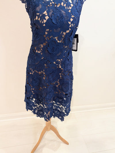 Catherine Deane Sapphire Lace Fjola Dress 8 NWT