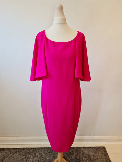 Alba Conde Pink cape dress 16